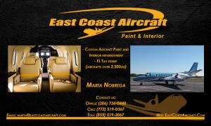 black_on_Yellow_with_two_examples