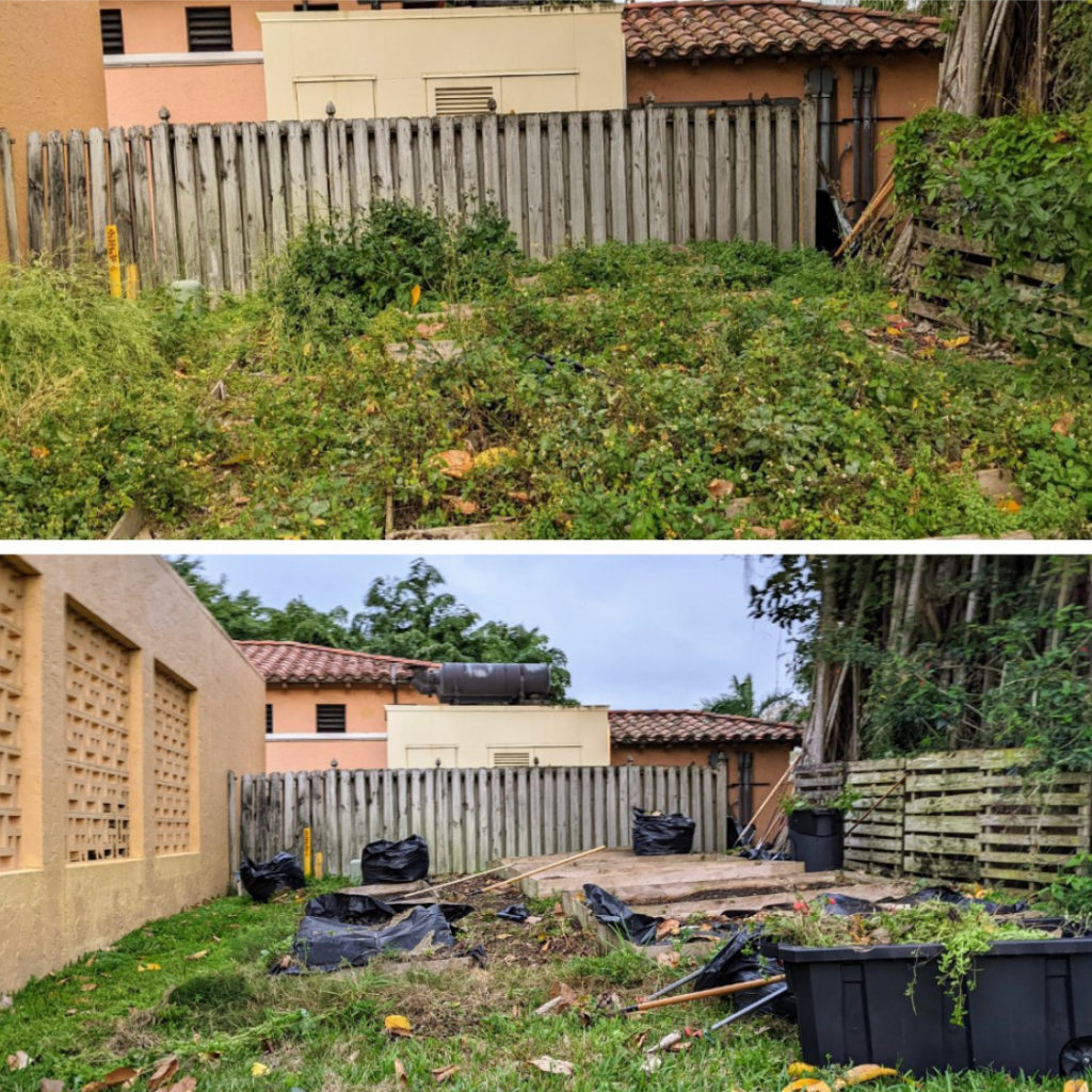 Two photographs show a garden space in disrepair.