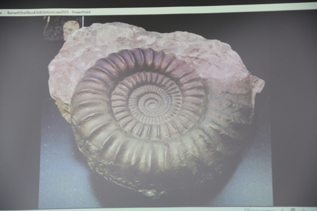 An image of an ammonite fossil.