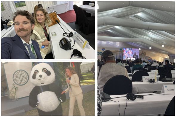 A photo collage of two law students attending an environmental conference in Zimbabwe, including a session with Zimbabwe's president.