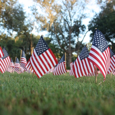 little American flags are stuck in the grass