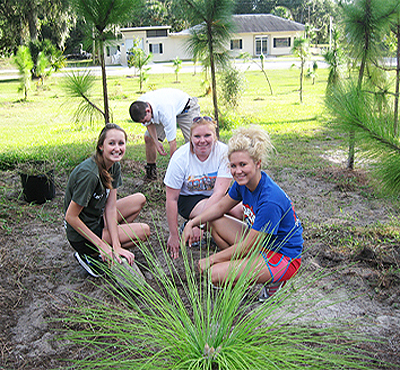Stetson students (l to r), Shelby Grimes, Nerissa Fay, Katie Kern and Logan Dodson (in the back), work together on the Sandhill restoration project.