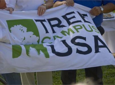 TreeCampus