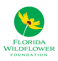 wildflower logo