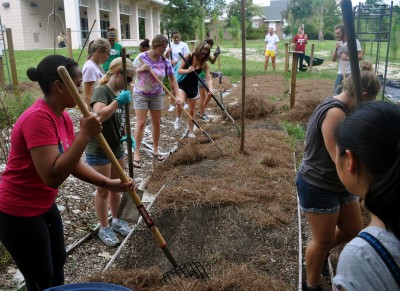 CommunityService-HatterHarvest-copy