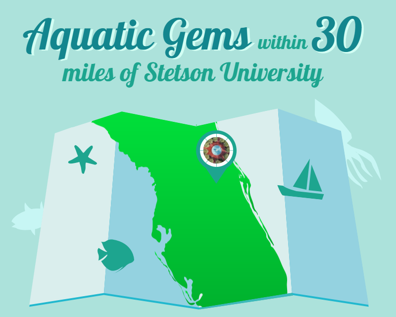1 Aquatic Gems near StetsonU