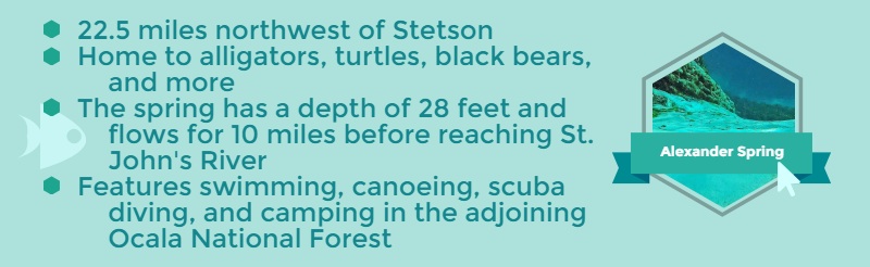 5 Aquatic Gems near StetsonU copy