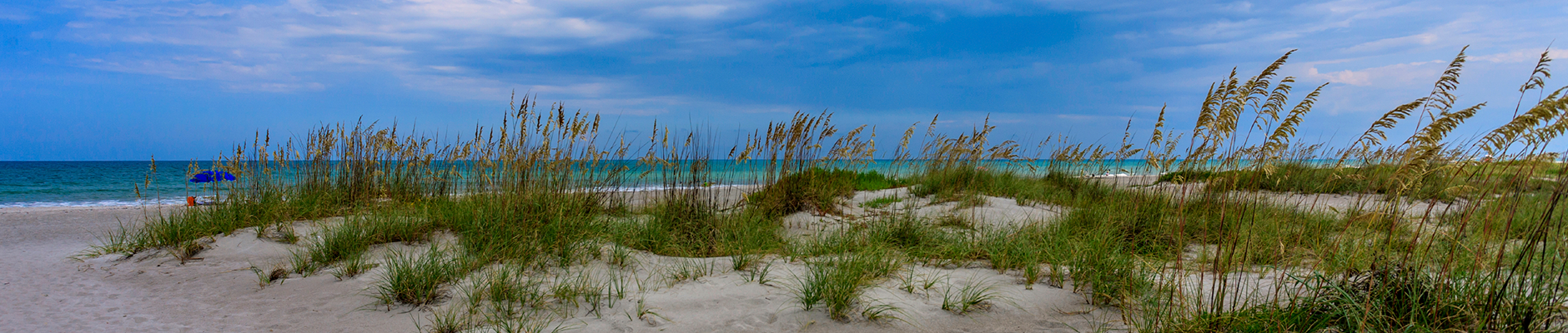 New Smyrna Beach, Stetson University