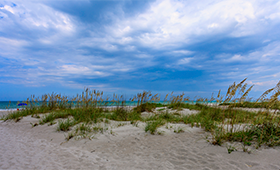 New Smyrna Beach, Stetson University