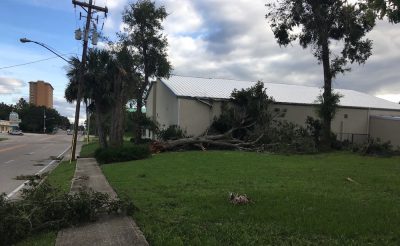 Tree leaning against Administrative Services Building