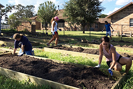 Stetson students spread soil around in wooden raised garden beds.