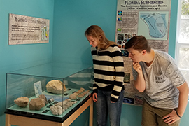 Two students look at specimens in a display case in the museum
