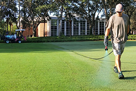 Steve Carpenter walks holding a hose and spraying green liquid on the grass in the Stetson Green with the library in the background.