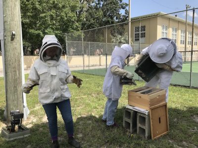 Sarah Cramer in a bee suit stands talking as Hannah holds a smoker and Maxwell holds the container of bees over the new box.