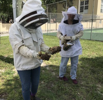 Sarah in a bee suit holds two pieces of honeycomb in each hand, crawling with bees, as Hannah stands holding the smoker behind her.