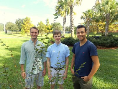 The three students stand beside a small tree on campus.
