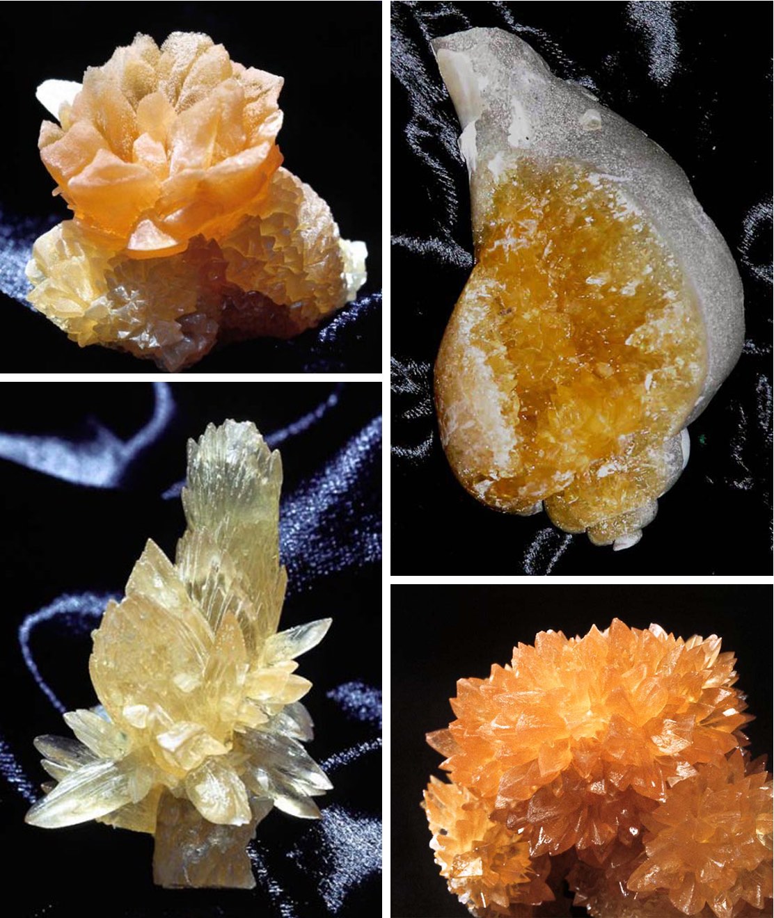 Rarest Calcite New exhibit at Gillespie Museum features rare specimens - Stetson Today