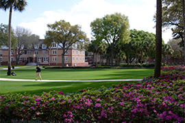 Landscaping in bloom on the Stetson Green