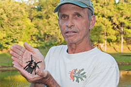 portrait holding a tarantula spider