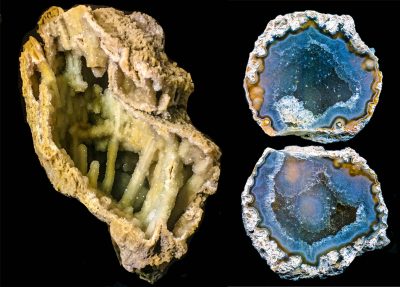 three pieces of agatized coral