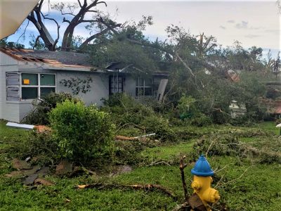 Trees are down on the roof, part of roof is missing and trees and limbs are strewn across yard.