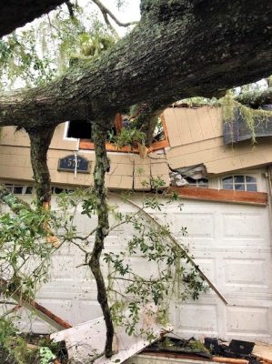 A big oak tree has broken through the ceiling of the home