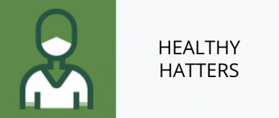 screenshot of Safer Stetson website navigational icon for "Healthy Hatters"