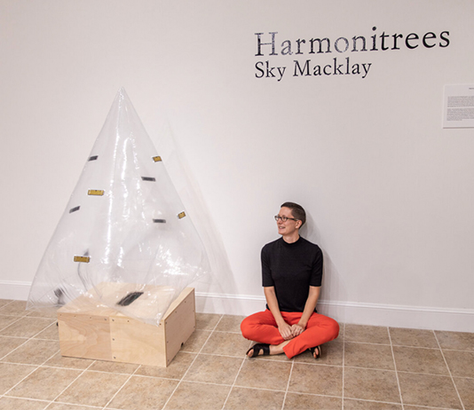 Harmonitree exhibit in Hand Art Center