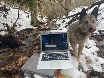 a laptop and dog stand amid a little snow and a mountain stream