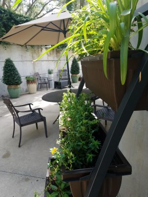 Plants fill a plant stand in front of a patio table with umbrella