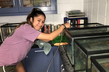 The student fills up fish tanks with water.