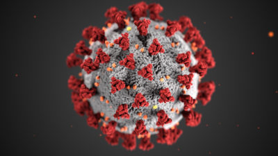 enhanced image of coronavirus for story about virology of spillover