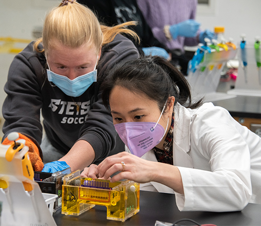 Professor Lynn Kee works with a student in a Sage Hall lab.