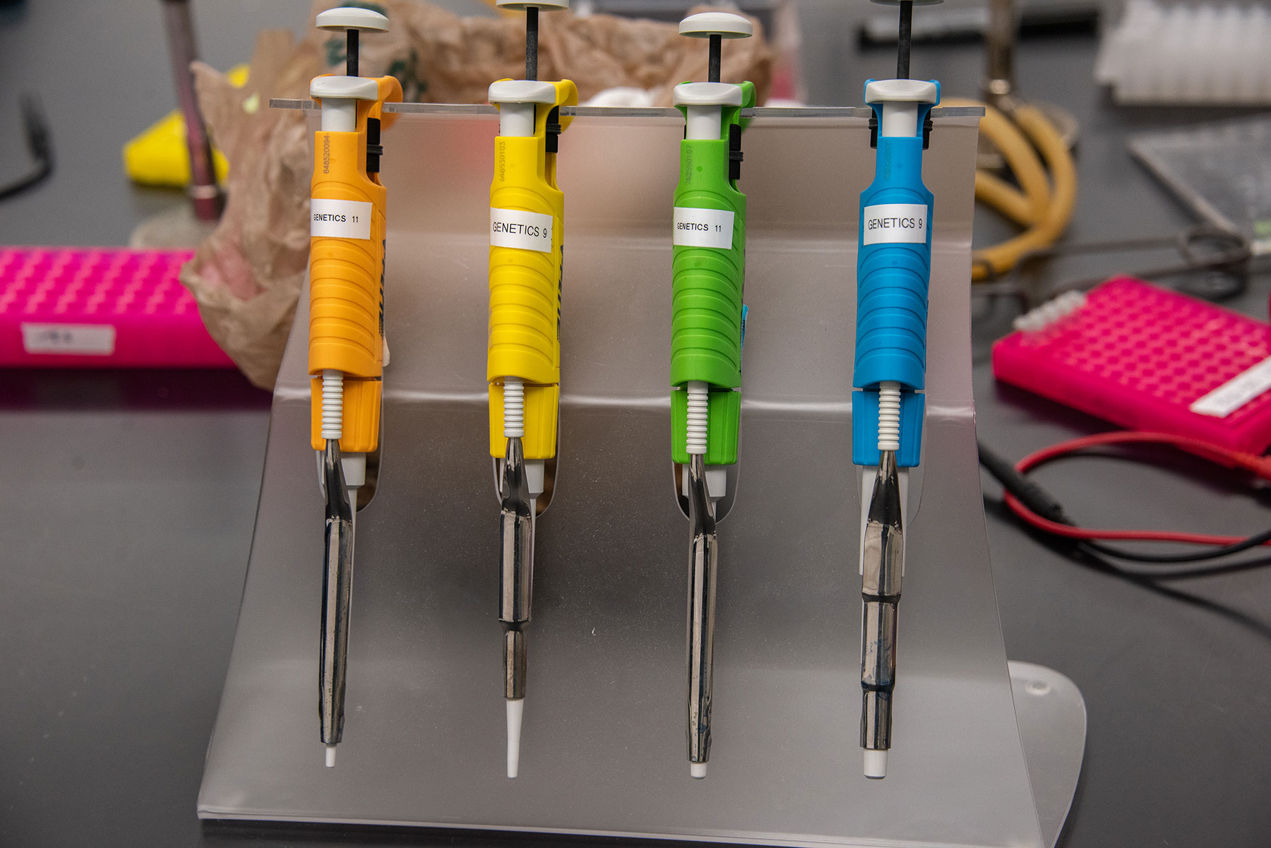 Colorful pipettes sit waiting in the lab in a class that will teach gene editing.