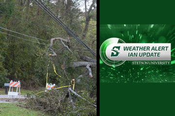 graphic showing downed tree and Hurricane Ian graphic