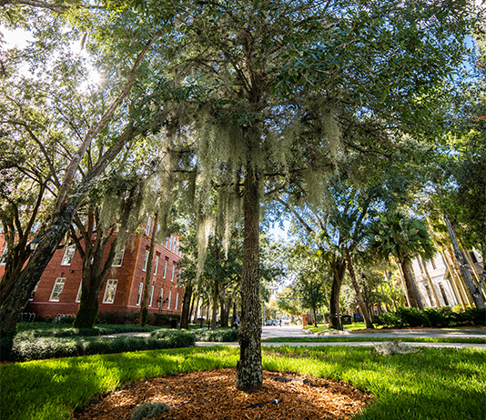 A scenic shot on the DeLand campus with plenty of trees.