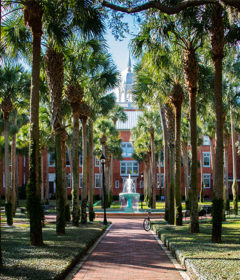Photo of pretty Palm Court on Stetson's campus
