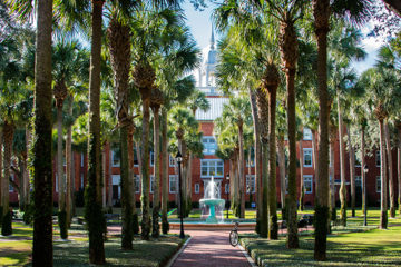 Photo of pretty Palm Court on Stetson's campus