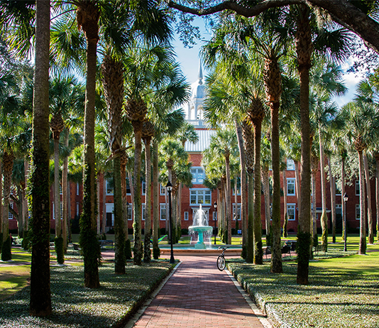 Photo of pretty Palm Court on Stetson's campus