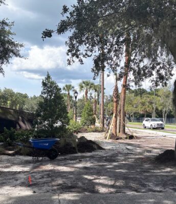 Safety upgrades to sidewalks and parking lots near the Sorority houses.