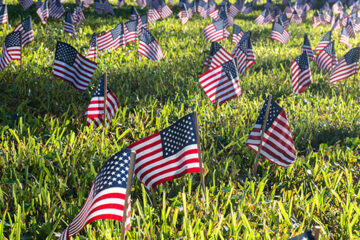 Small American flags dotting a grass field