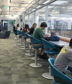 Students studying in the Hollis Family Student Success Center at Stetson University